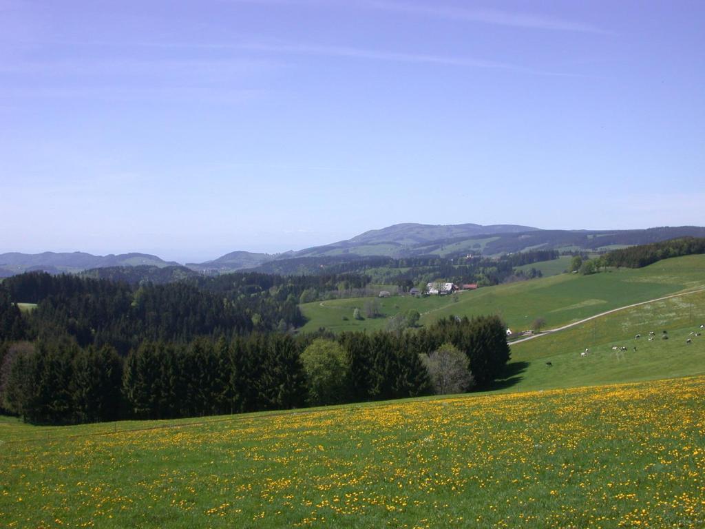 Bio- und Wellnesshotel Alpenblick Höchenschwand Exterior foto